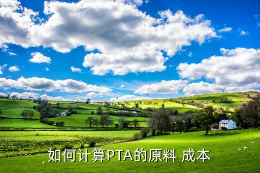 紡織px成本是什么意思