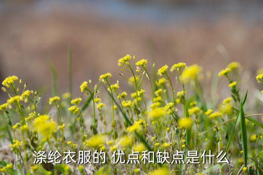 滌綸衣服的 優(yōu)點和缺點是什么