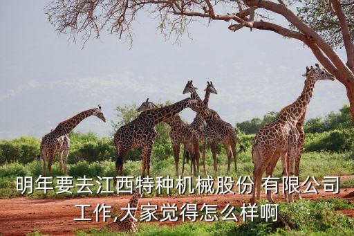 明年要去江西特種機(jī)械股份 有限公司工作,大家覺得怎么樣啊