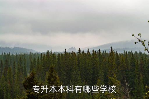 武漢紡織大學(xué) 二級(jí)學(xué)院