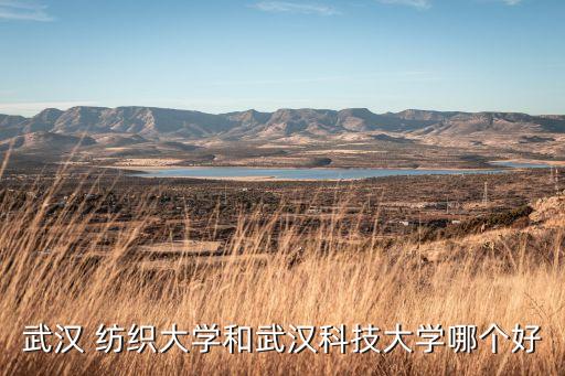 武漢 紡織大學(xué)和武漢科技大學(xué)哪個好