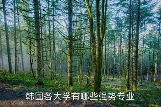 韓國各大學(xué)有哪些強(qiáng)勢專業(yè)