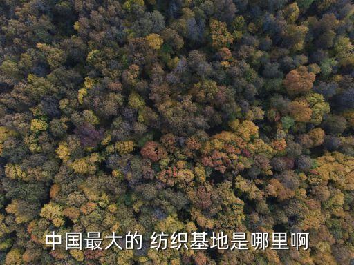 柯橋東區(qū)撲著紡織,華諾紡織在柯橋東區(qū)哪里