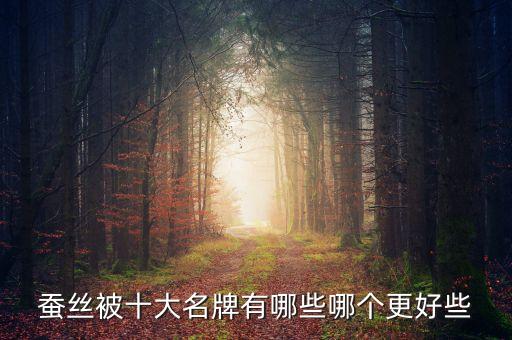 蠶絲被十大名牌有哪些哪個更好些