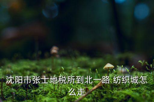 沈陽(yáng)市張士地稅所到北一路 紡織城怎么走