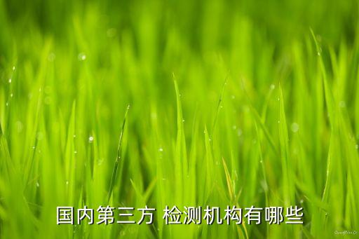 國(guó)內(nèi)第三方 檢測(cè)機(jī)構(gòu)有哪些
