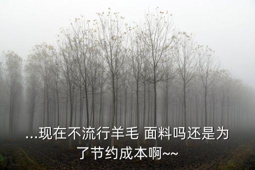 ...現(xiàn)在不流行羊毛 面料嗎還是為了節(jié)約成本啊~~