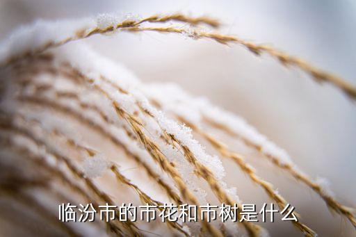 臨汾市的市花和市樹是什么