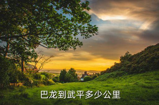 巴龍國際集團(tuán)有限公司怎么樣,山東巴龍集團(tuán)有限公司