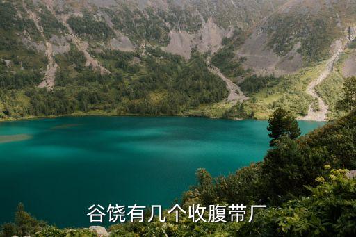 谷饒有幾個(gè)收腹帶廠