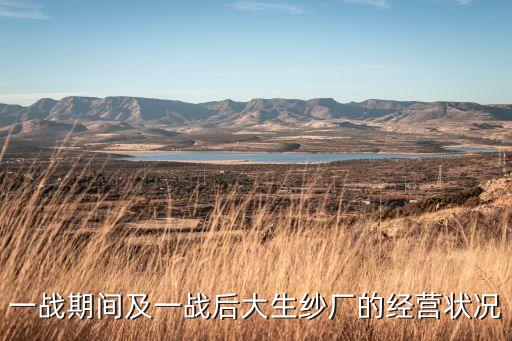 一戰(zhàn)期間及一戰(zhàn)后大生紗廠的經(jīng)營狀況