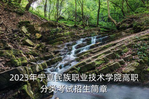 2023年寧夏民族職業(yè)技術學院高職分類考試招生簡章