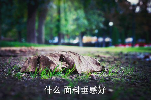 什么 面料垂感好