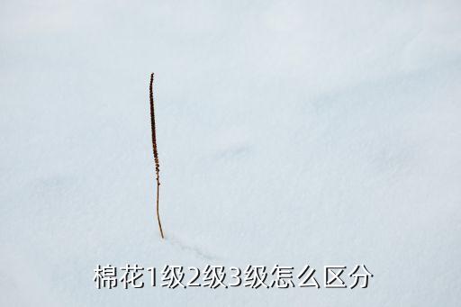 棉花1級2級3級怎么區(qū)分