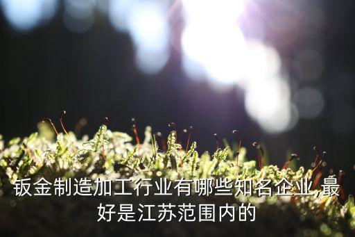 鈑金制造加工行業(yè)有哪些知名企業(yè),最好是江蘇范圍內(nèi)的