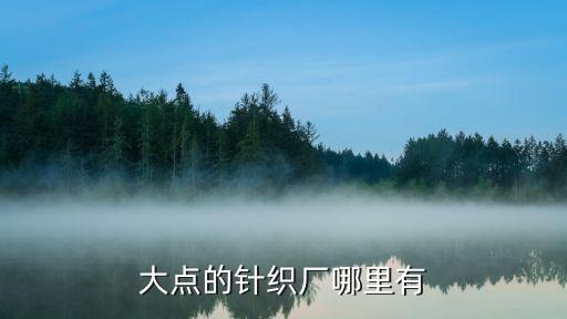 大點(diǎn)的針織廠哪里有