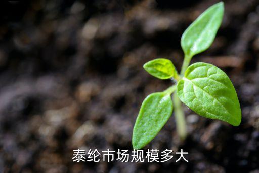  泰綸市場規(guī)模多大