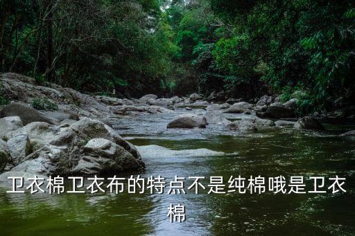 衛(wèi)衣棉衛(wèi)衣布的特點不是純棉哦是衛(wèi)衣棉