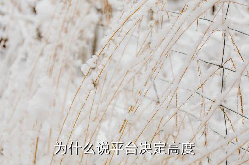 為什么說(shuō)平臺(tái)決定高度