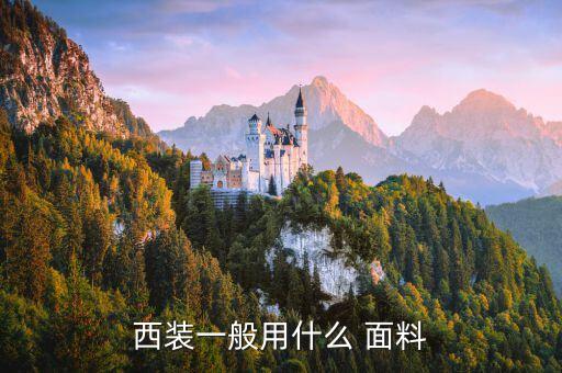 西裝一般用什么 面料