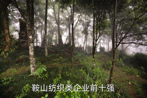 鞍山紡織類企業(yè)前十強