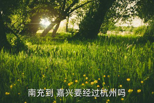 嘉興綢都紡織有限公司,嘉興匯源紡織染整有限公司