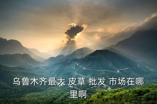烏魯木齊最大 皮草 批發(fā) 市場在哪里啊