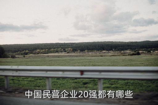中國(guó)民營(yíng)企業(yè)20強(qiáng)都有哪些