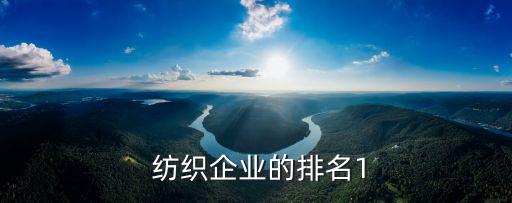  紡織企業(yè)的排名1
