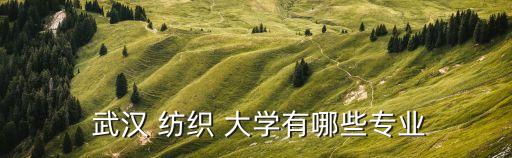  武漢 紡織 大學有哪些專業(yè)