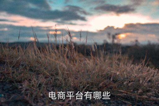 中國紡織商務(wù)網(wǎng)模式