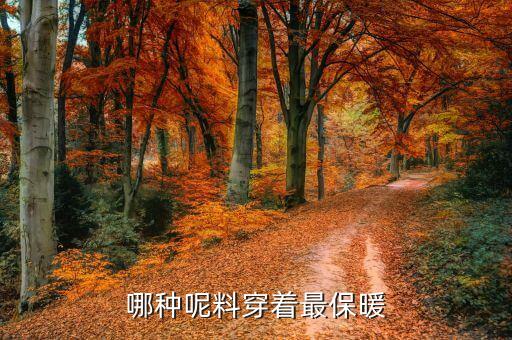 哪種呢料穿著最保暖