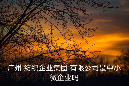 廣州 紡織企業(yè)集團 有限公司是中小微企業(yè)嗎