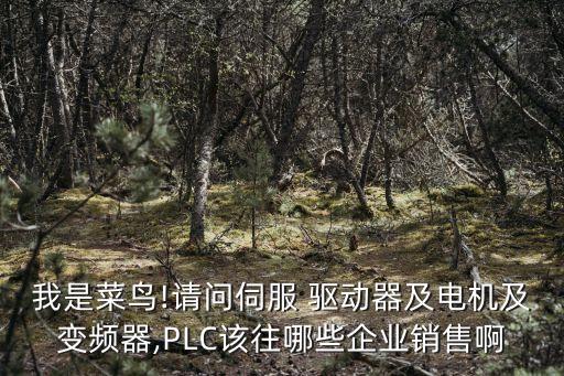 我是菜鳥!請問伺服 驅(qū)動器及電機及變頻器,PLC該往哪些企業(yè)銷售啊