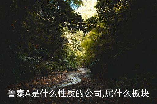 魯泰A是什么性質(zhì)的公司,屬什么板塊