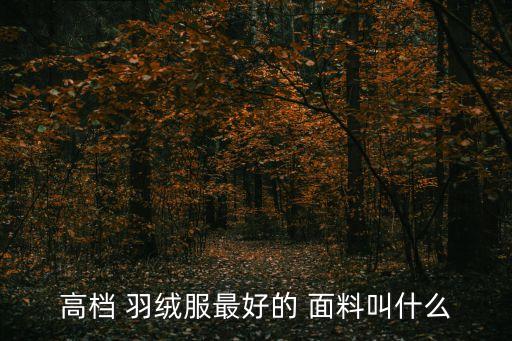 高檔 羽絨服最好的 面料叫什么