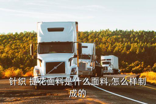 提花紡織品,紡織品CAD小提花設計