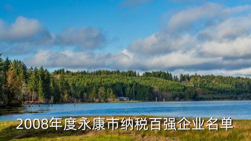 2008年度永康市納稅百強(qiáng)企業(yè)名單