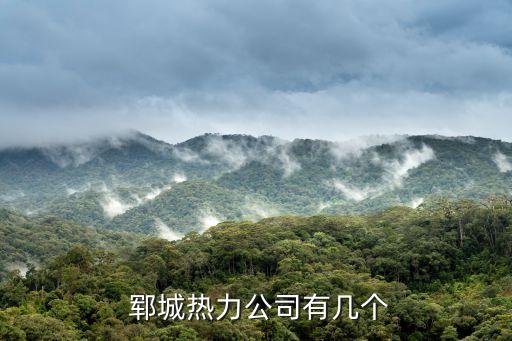 鄆城永安紡織,鄆城紡織企業(yè)名錄