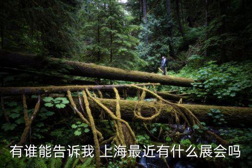 有誰能告訴我 上海最近有什么展會(huì)嗎