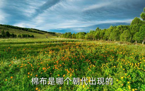 棉布是哪個(gè)朝代出現(xiàn)的