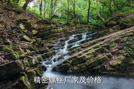  精密螺絲廠家及價格