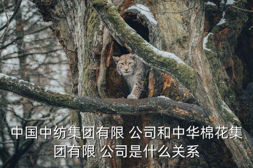 中國中紡集團有限 公司和中華棉花集團有限 公司是什么關系