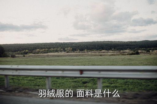  羽絨服的 面料是什么
