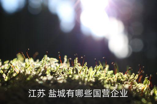 江蘇 鹽城有哪些國營企業(yè)