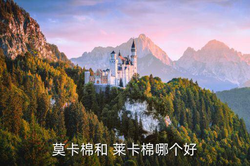 莫卡棉和 萊卡棉哪個(gè)好