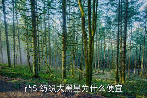 凸5 紡織大黑星為什么便宜