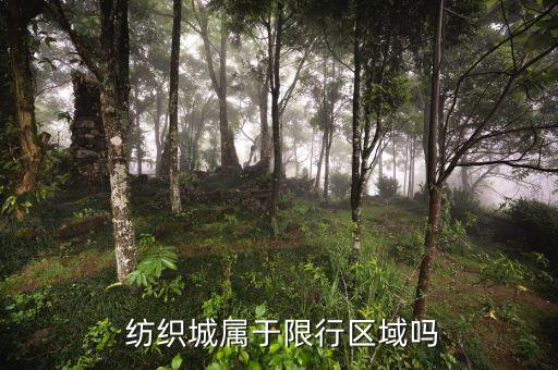  紡織城屬于限行區(qū)域嗎