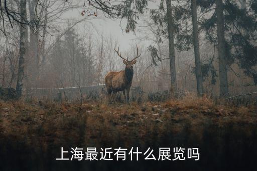 上海最近有什么展覽嗎