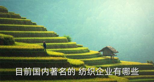目前國內(nèi)著名的 紡織企業(yè)有哪些